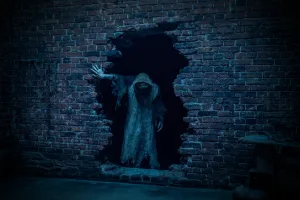 BAGHEAD-still-2