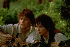 Lord of the Rings-still (2)